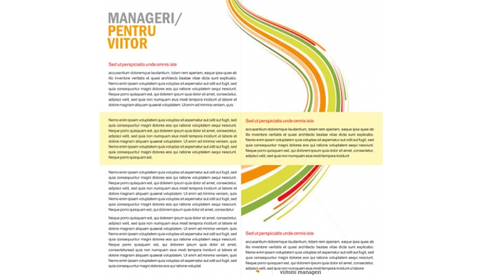 Manageri pentru viitor 2 - design flyer .jpg